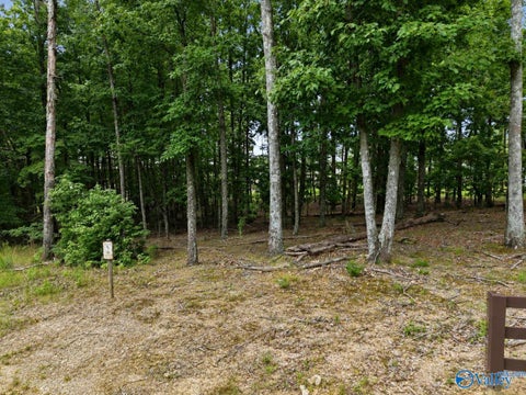 Vacant Land For Sale - 13347 S South Village Square Road<br/> Madison County, Huntsville, AL 35803
