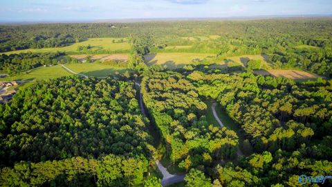 Vacant Land For Sale - 18 ACRES South Chapel Hill Road<br/> Decatur, AL 35603