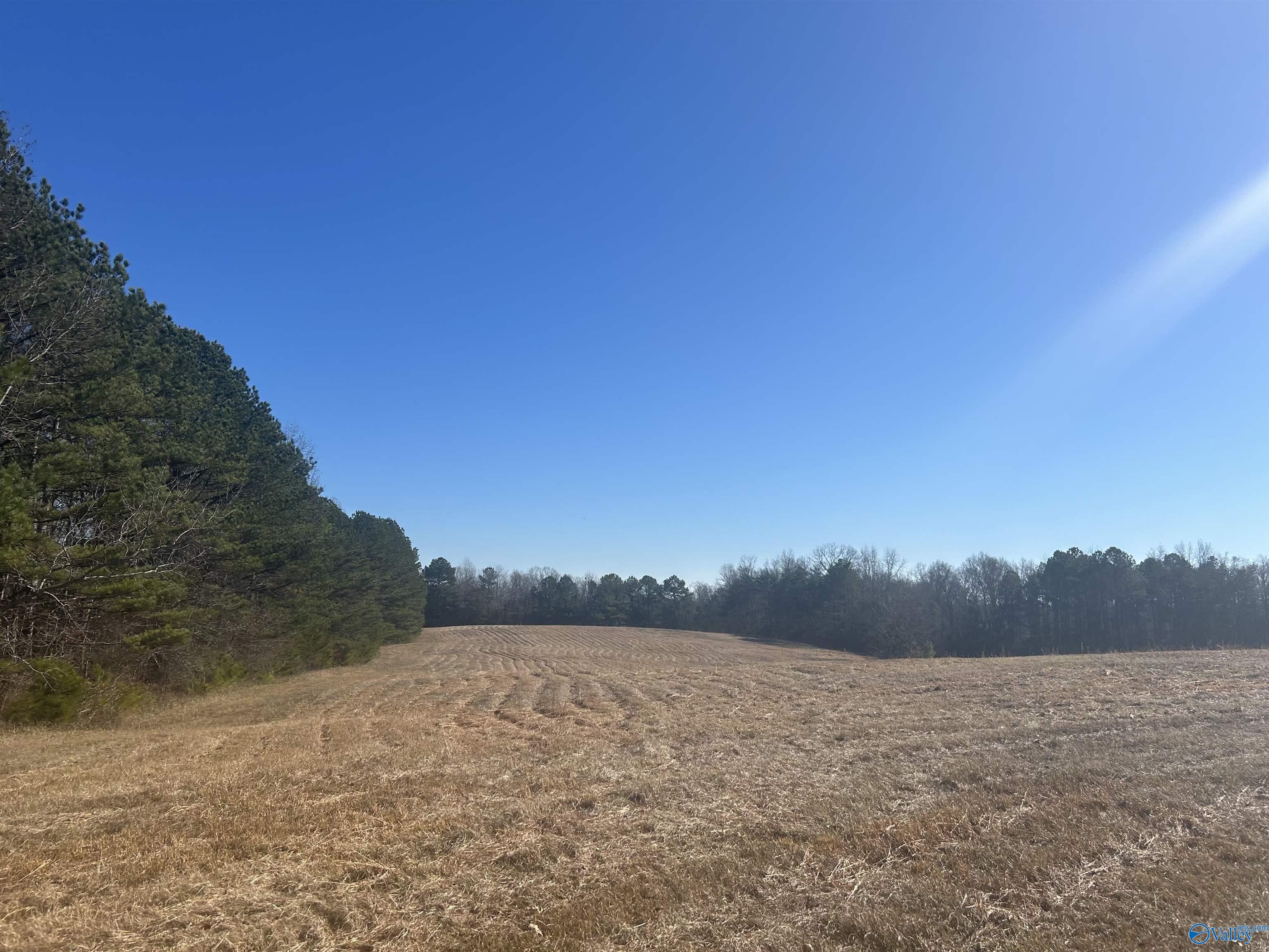 25 Acres Winding Brook Drive, Guntersville, Alabama image 1