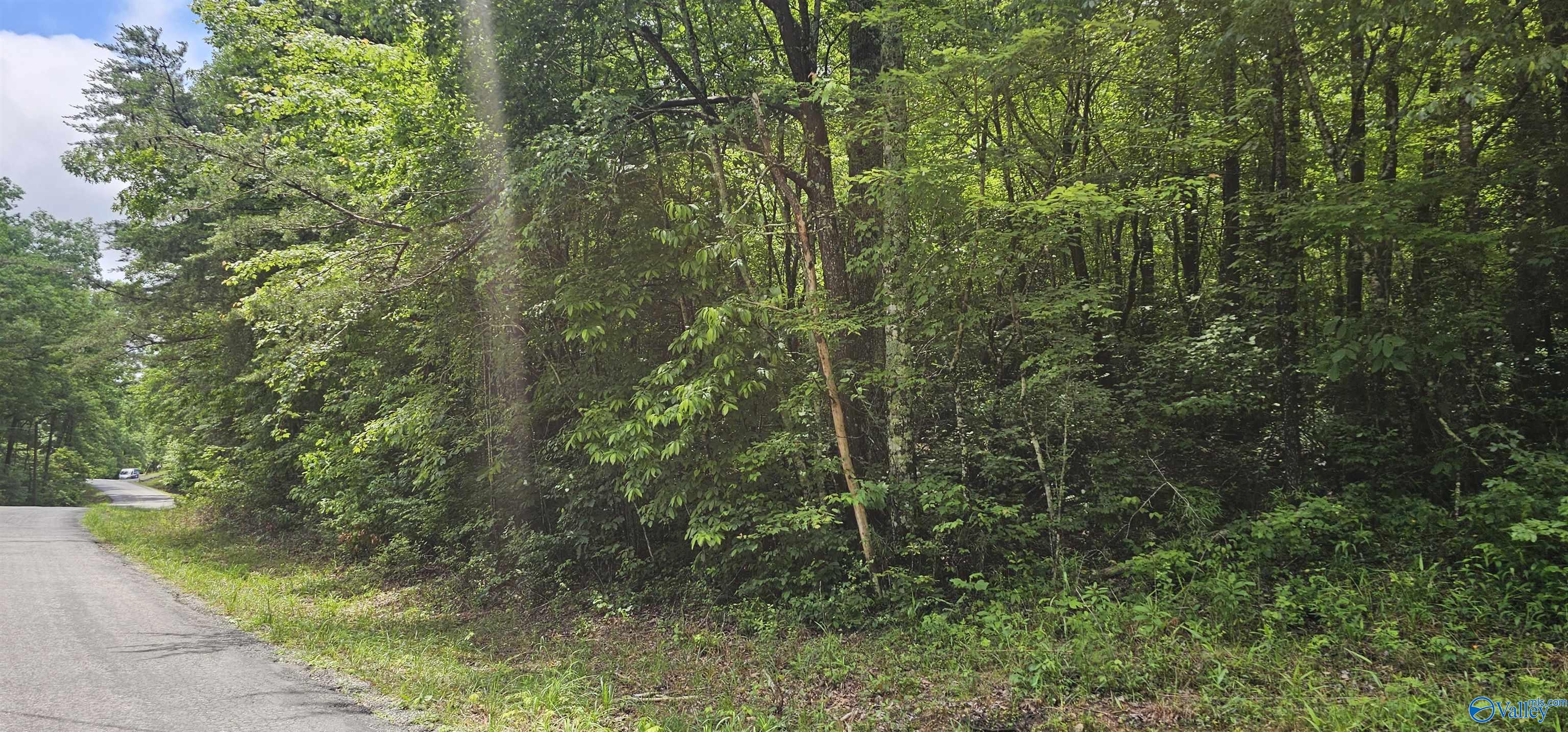 3 +/- Acres County Road 106, Mentone, Alabama image 6