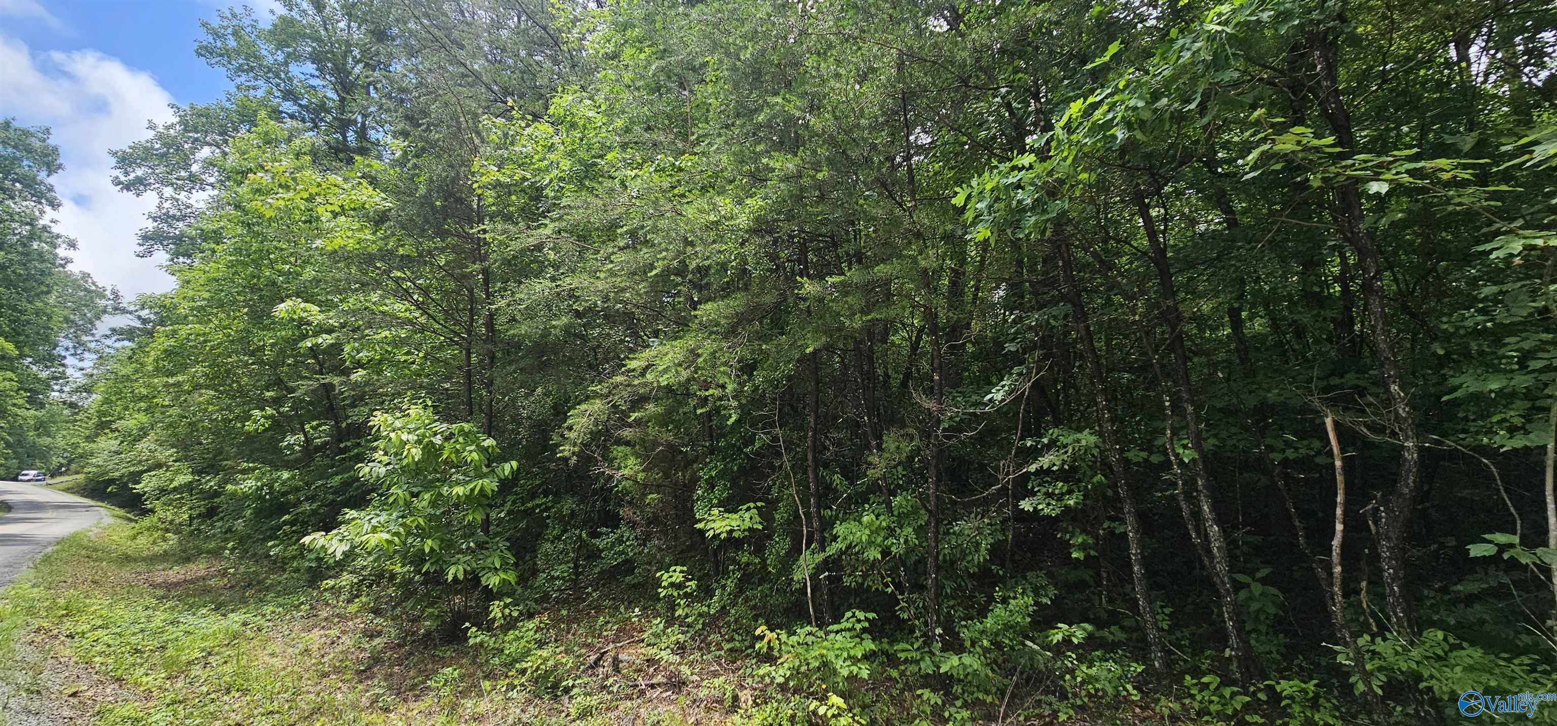 3 +/- Acres County Road 106, Mentone, Alabama image 12