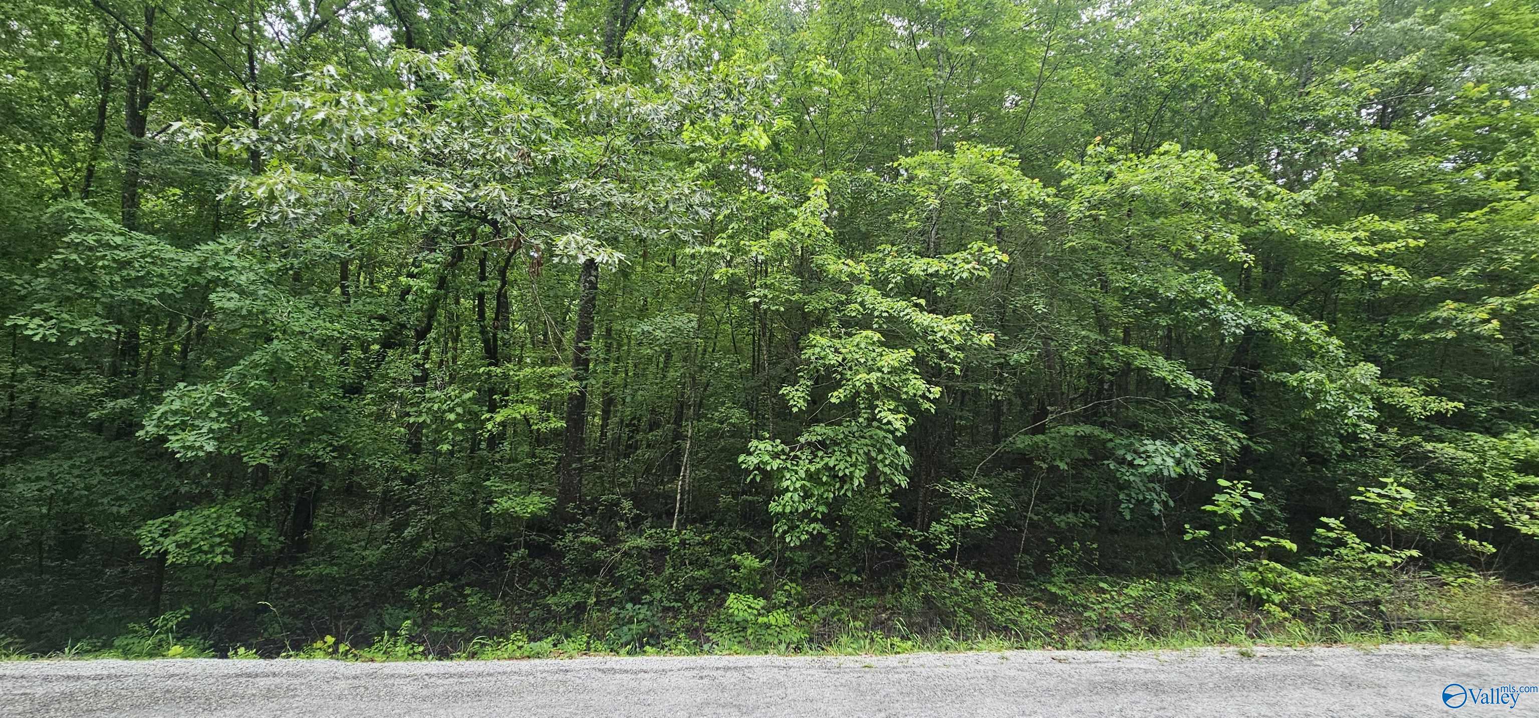 3 +/- Acres County Road 106, Mentone, Alabama image 40