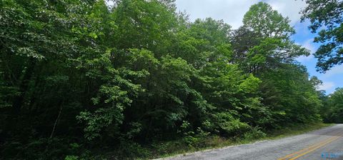 Vacant Land For Sale - 3 +/- ACRES County Road 106<br/> Mentone, AL 35984