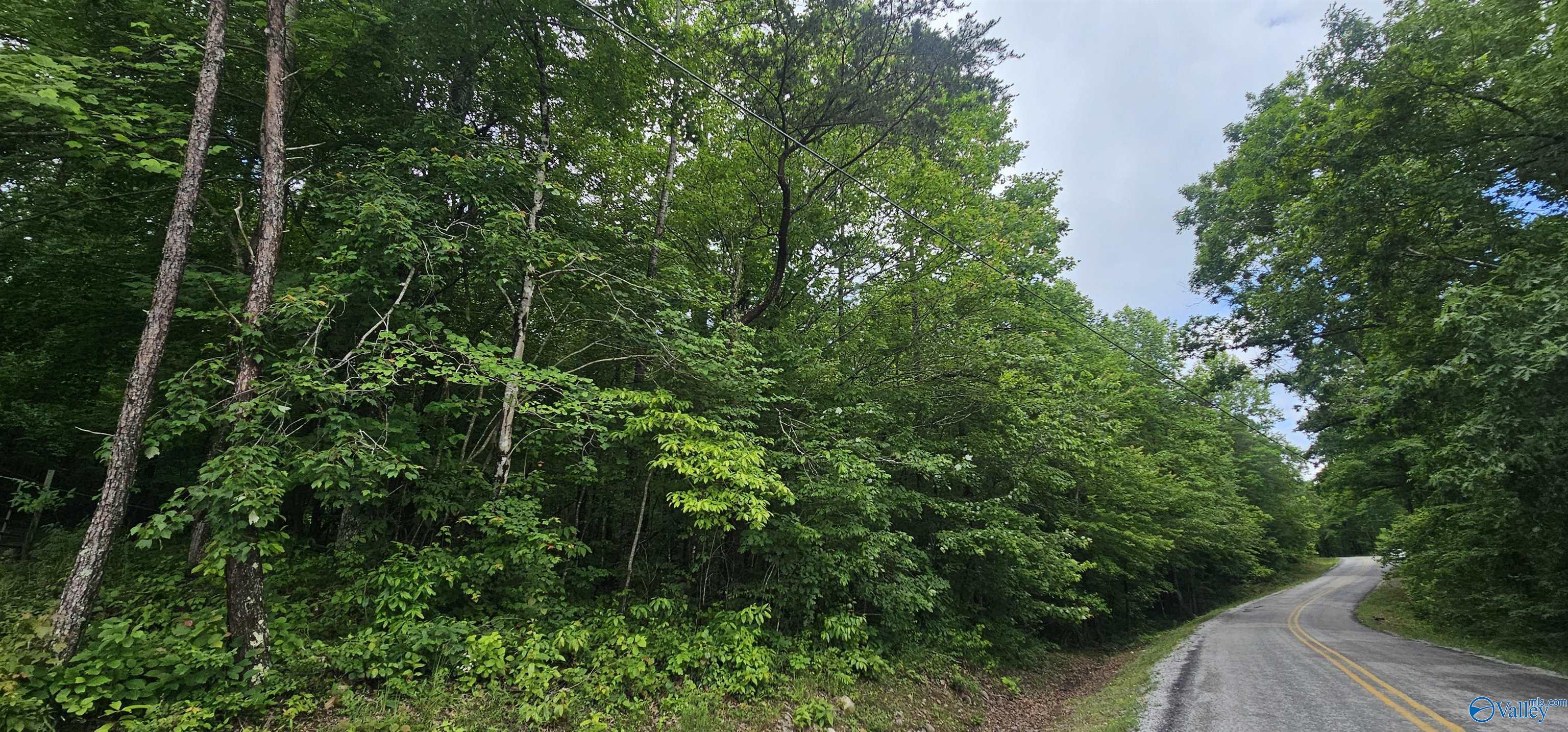 3 +/- Acres County Road 106, Mentone, Alabama image 45