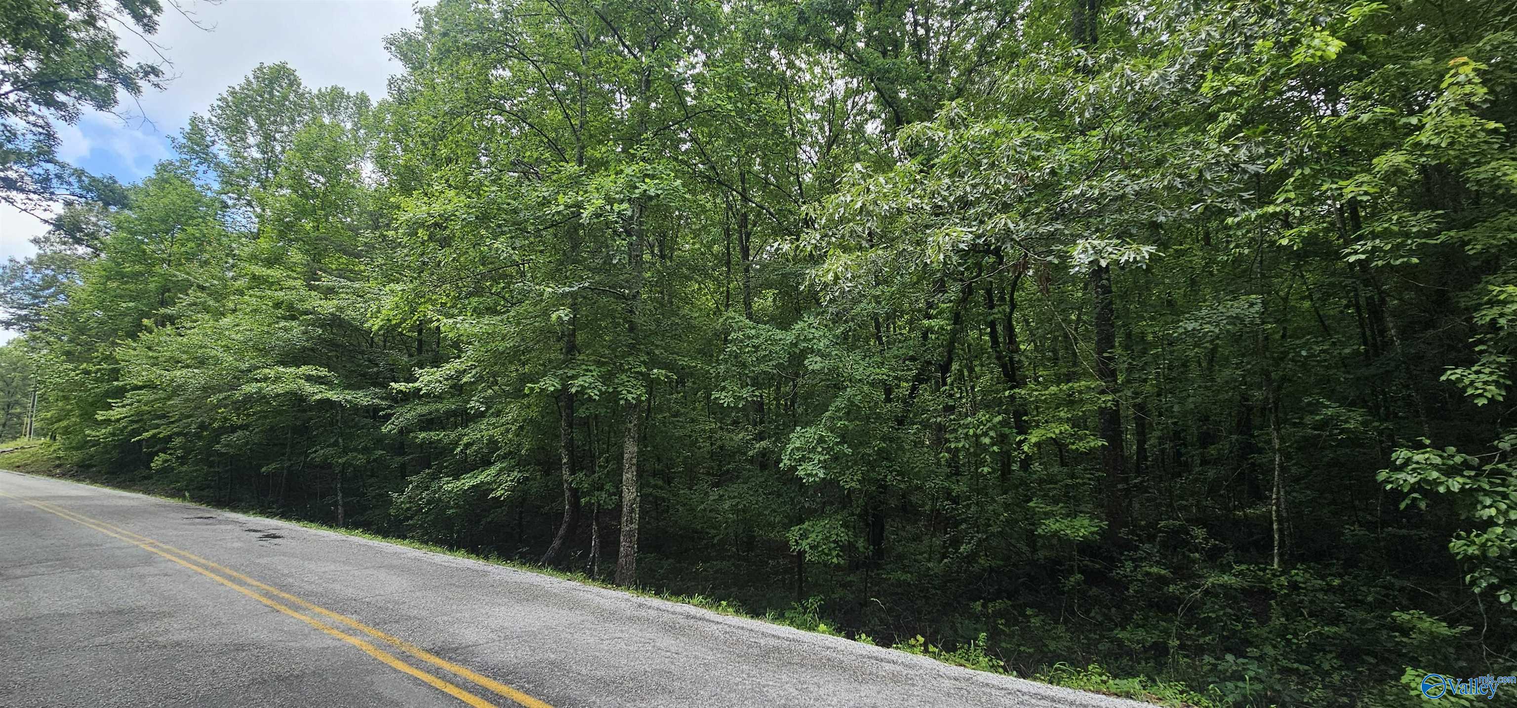 3 +/- Acres County Road 106, Mentone, Alabama image 42