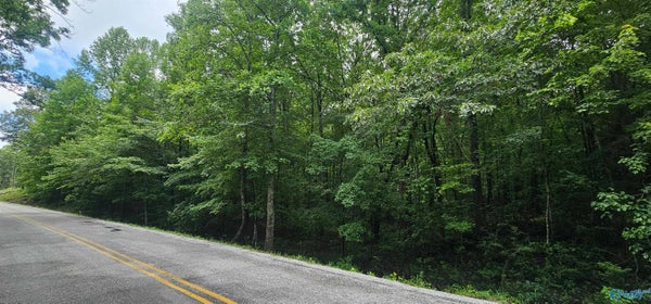 3 COUNTY ROAD 106, MENTONE, AL 35984 - Image 99bc54feee571d82abf275ef0342016c/2704745