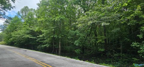 Vacant Land For Sale - 3 +/- ACRES County Road 106<br/> Mentone, AL 35984