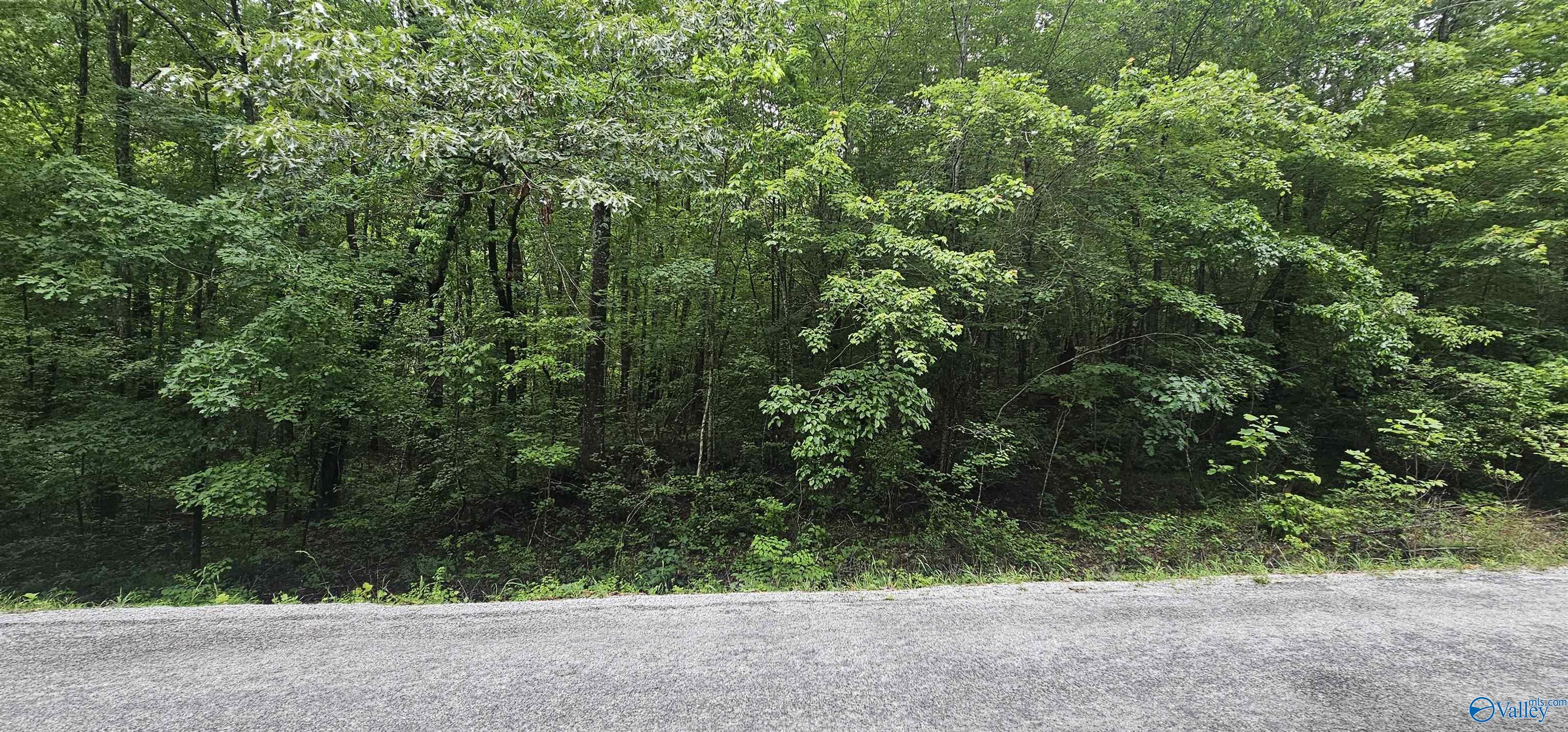 3 +/- Acres County Road 106, Mentone, Alabama image 38