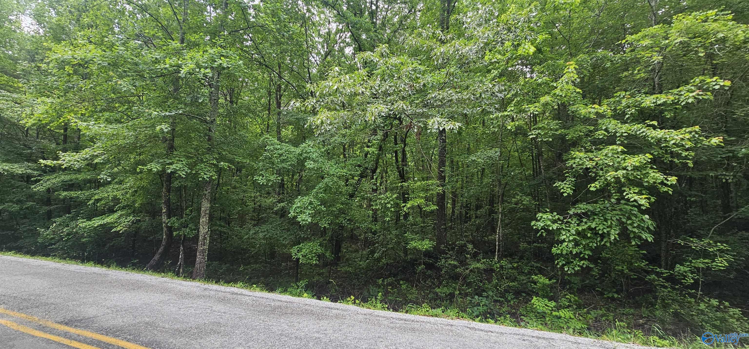 3 +/- Acres County Road 106, Mentone, Alabama image 41
