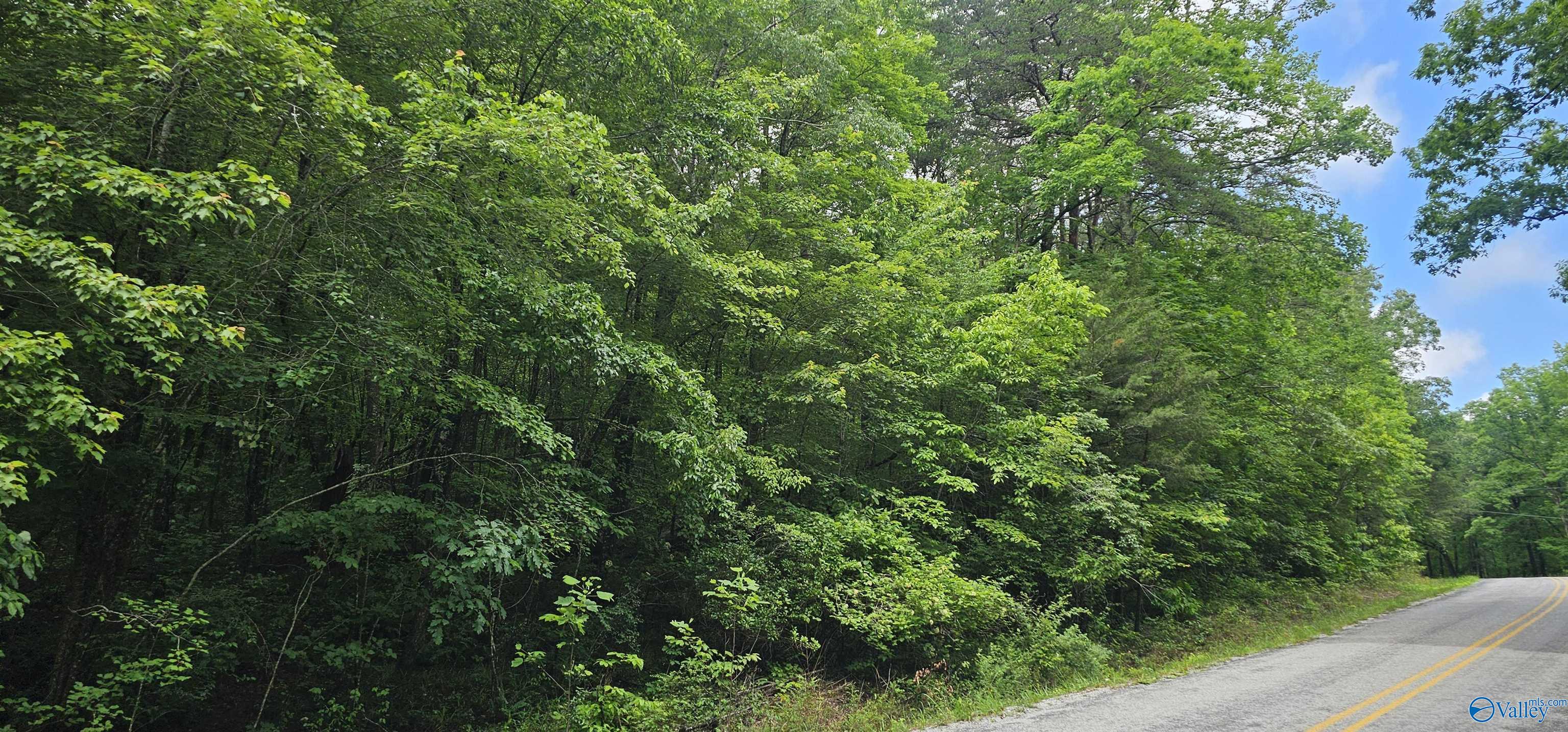 3 +/- Acres County Road 106, Mentone, Alabama image 37