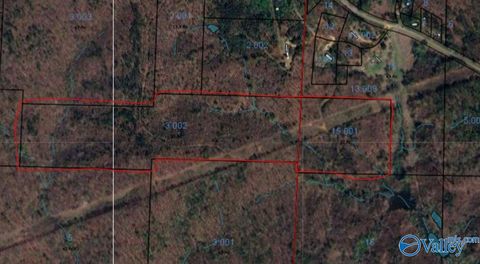 Vacant Land For Sale - 1 County Road 31<br/> Clay County, Ashland, AL 36251