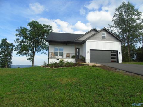 Homes For Sale - 246 County Road 1010<br/> Fort Payne, AL 35968