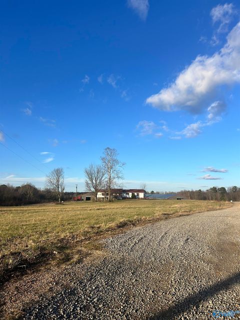 Homes For Sale - 6381 County Road 58<br/> Pisgah, AL 35765