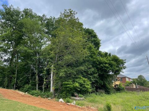 Vacant Land For Sale - 2610 Legacy Preserve Drive<br/> Brownsboro, AL 35741