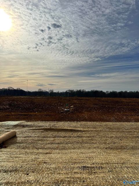 Vacant Land For Sale - LOT 8 Bear Bryant Drive<br/> Limestone County, Athens, AL 35613