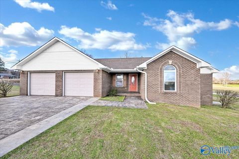 Homes For Sale - 17 Maple Drive<br/> Blountsville, AL 35031