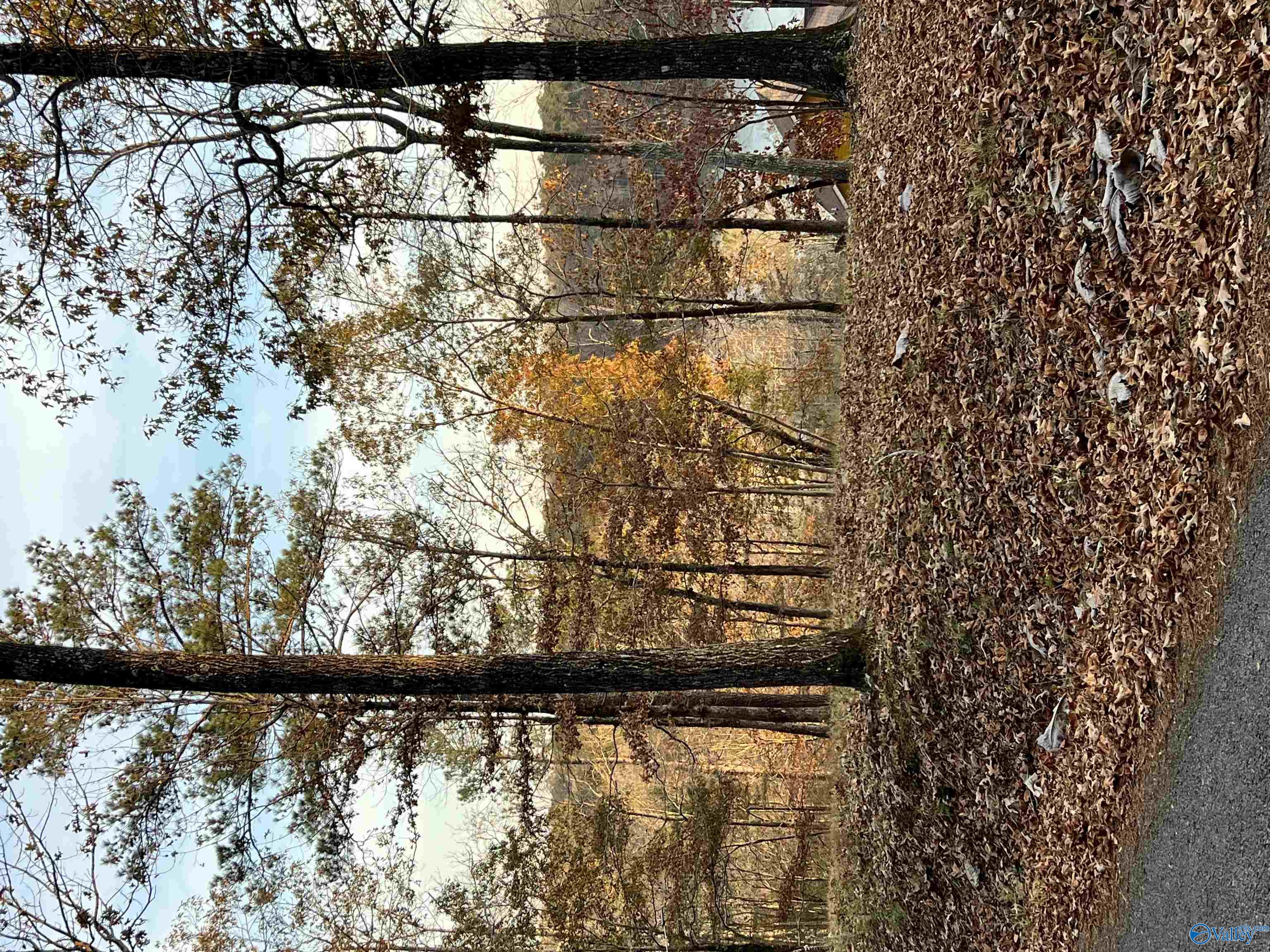 Lot 6 Whippoorwill Drive, Double Springs, Alabama image 4