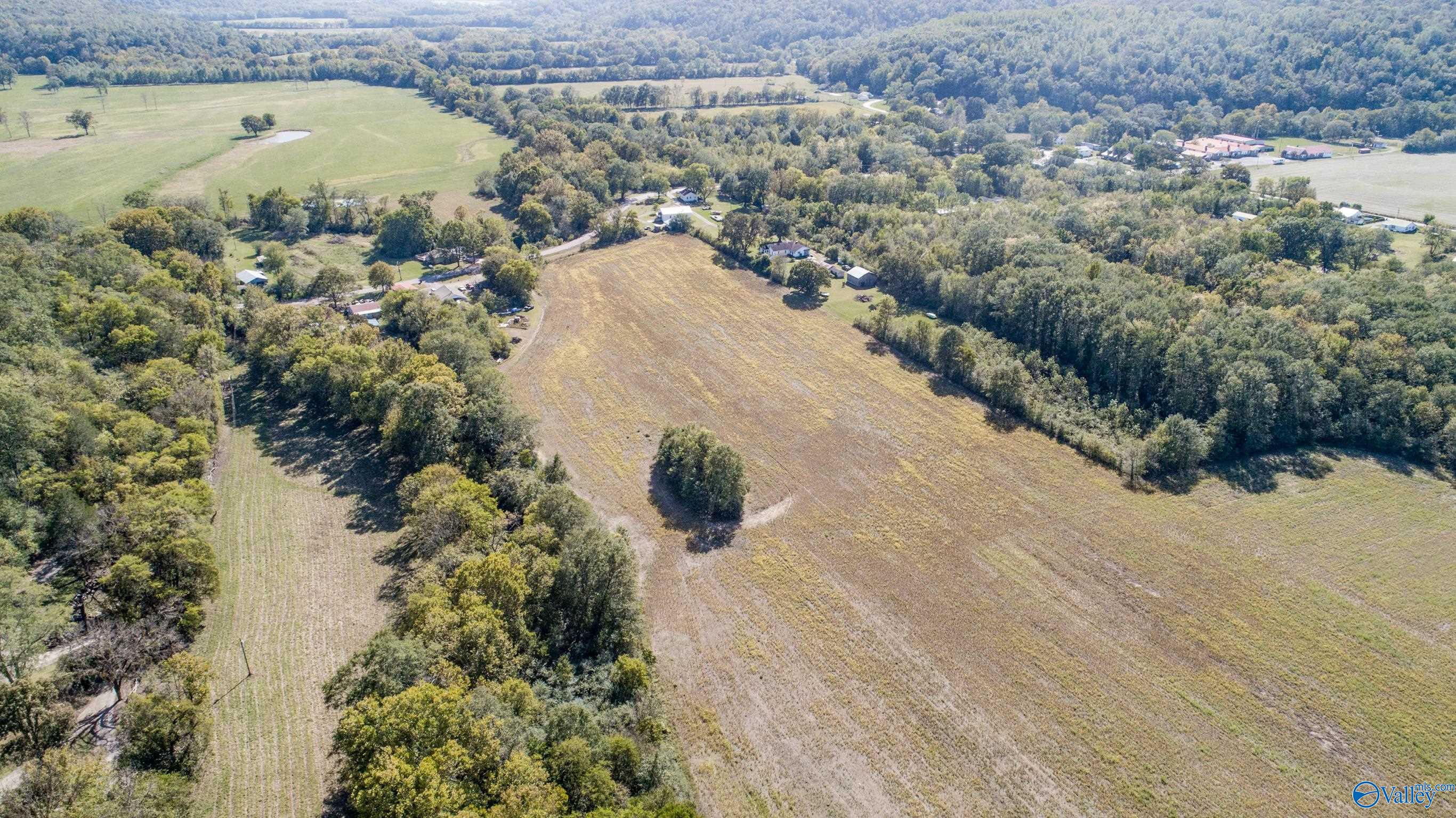 +/-  9.92 Acres Alabama Highway 65, Princeton, Alabama image 7