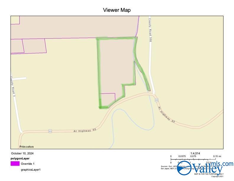 +/-  9.92 Acres Alabama Highway 65, Princeton, Alabama image 13