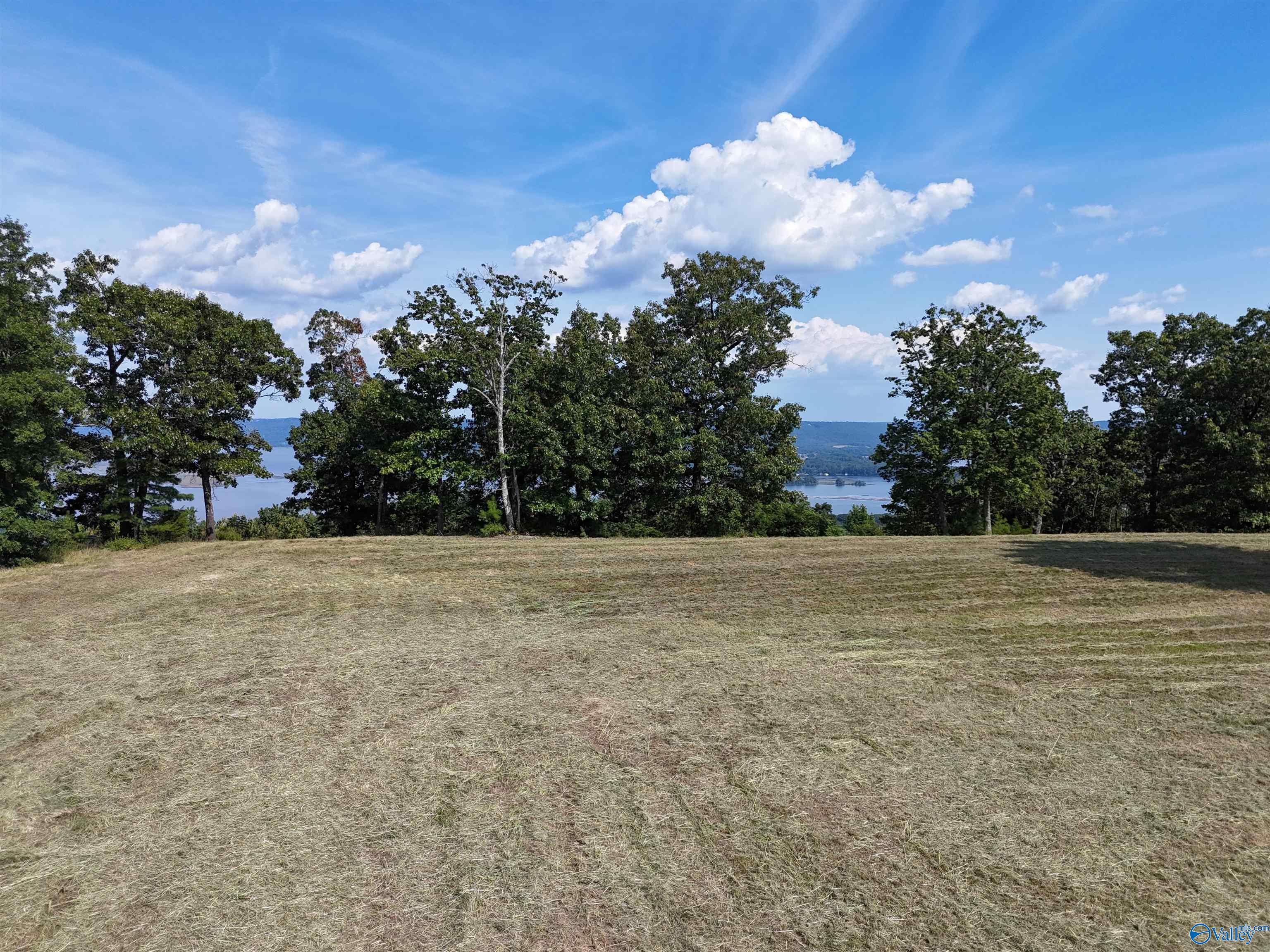 12 Acres Guffey Road, Scottsboro, Alabama image 15