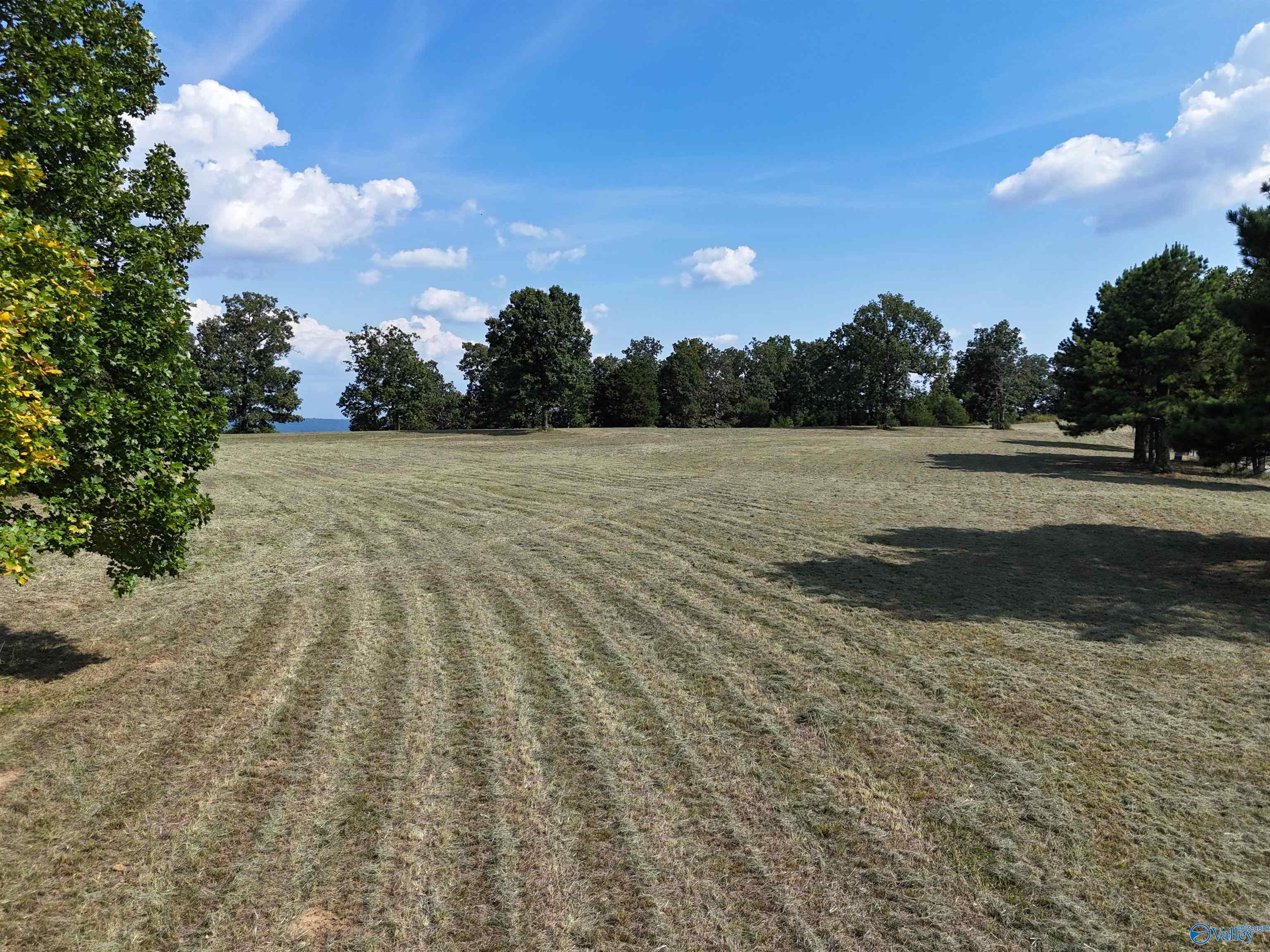 12 Acres Guffey Road, Scottsboro, Alabama image 18