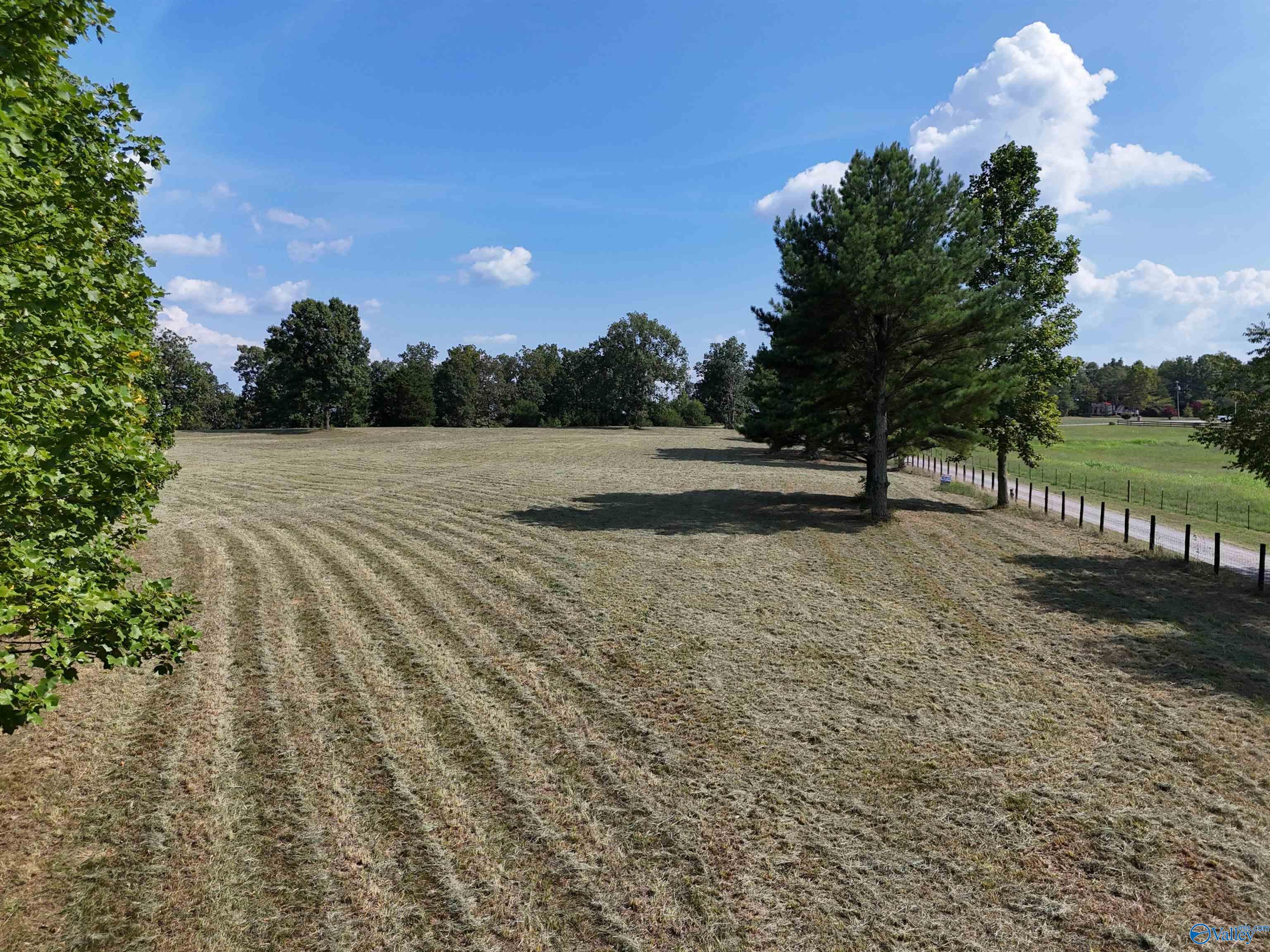 12 Acres Guffey Road, Scottsboro, Alabama image 11