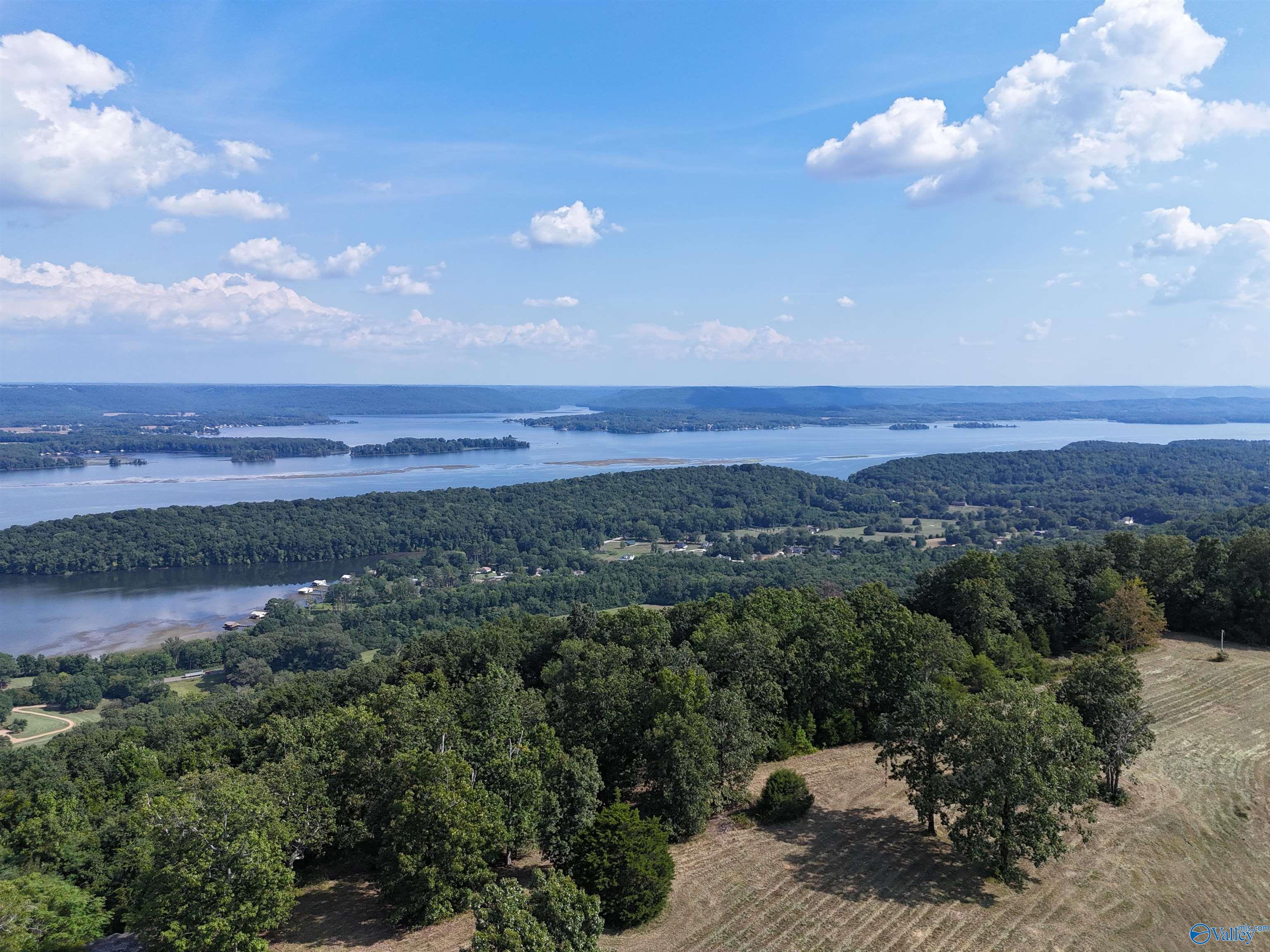 12 Acres Guffey Road, Scottsboro, Alabama image 21