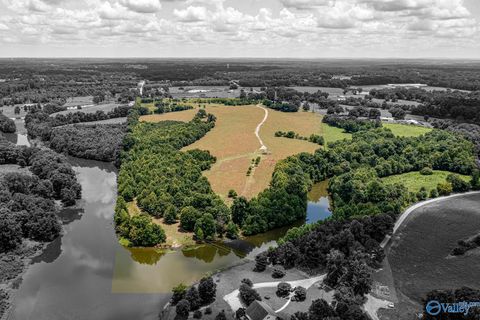 Vacant Land For Sale - 1941 County Road 1589<br/> Cullman County, Baileyton, AL 35019