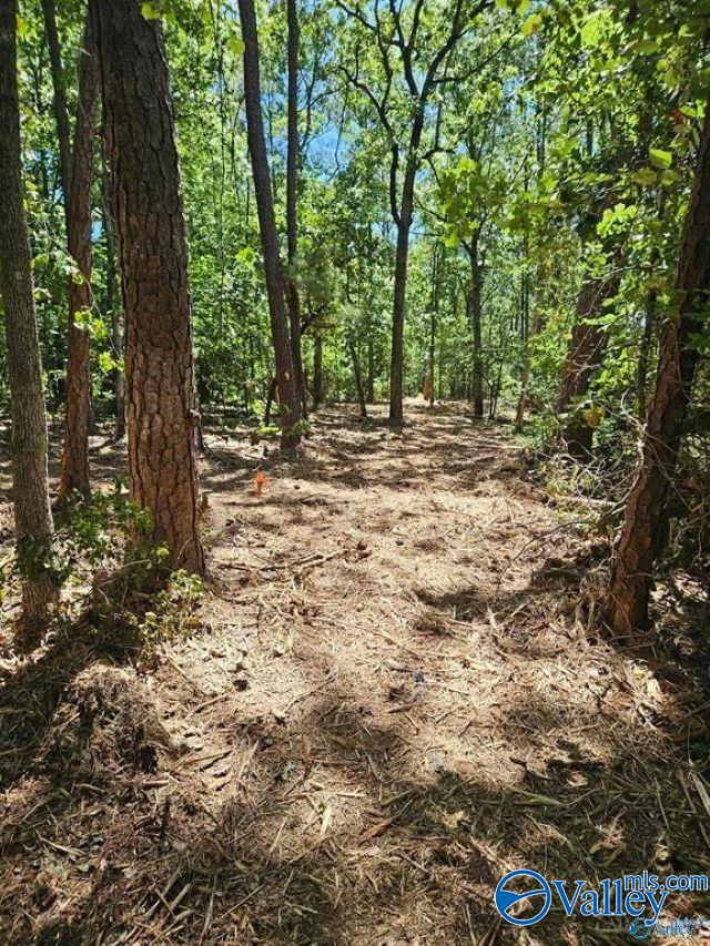 Lot 68 County Road 608, Cedar Bluff, Alabama image 3