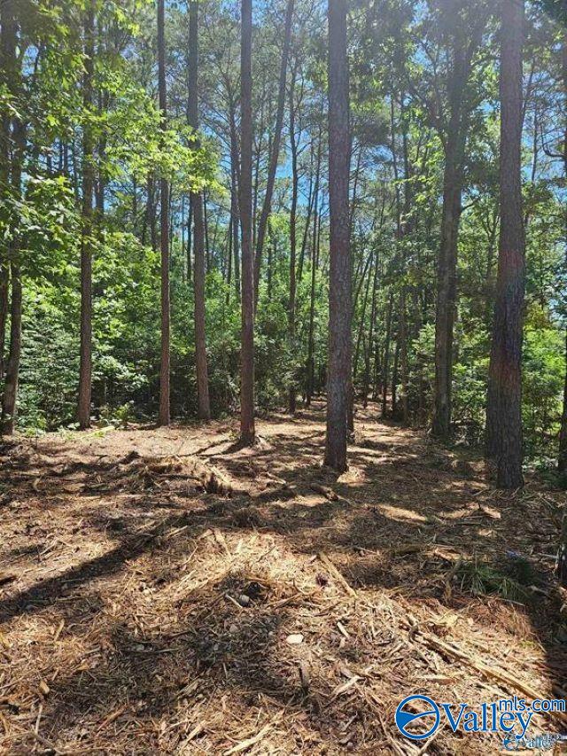 Lot 68 County Road 608, Cedar Bluff, Alabama image 4