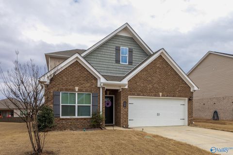 Photo of 159 Morning Dew Road, Toney, AL 35773 (MLS # 21911409)