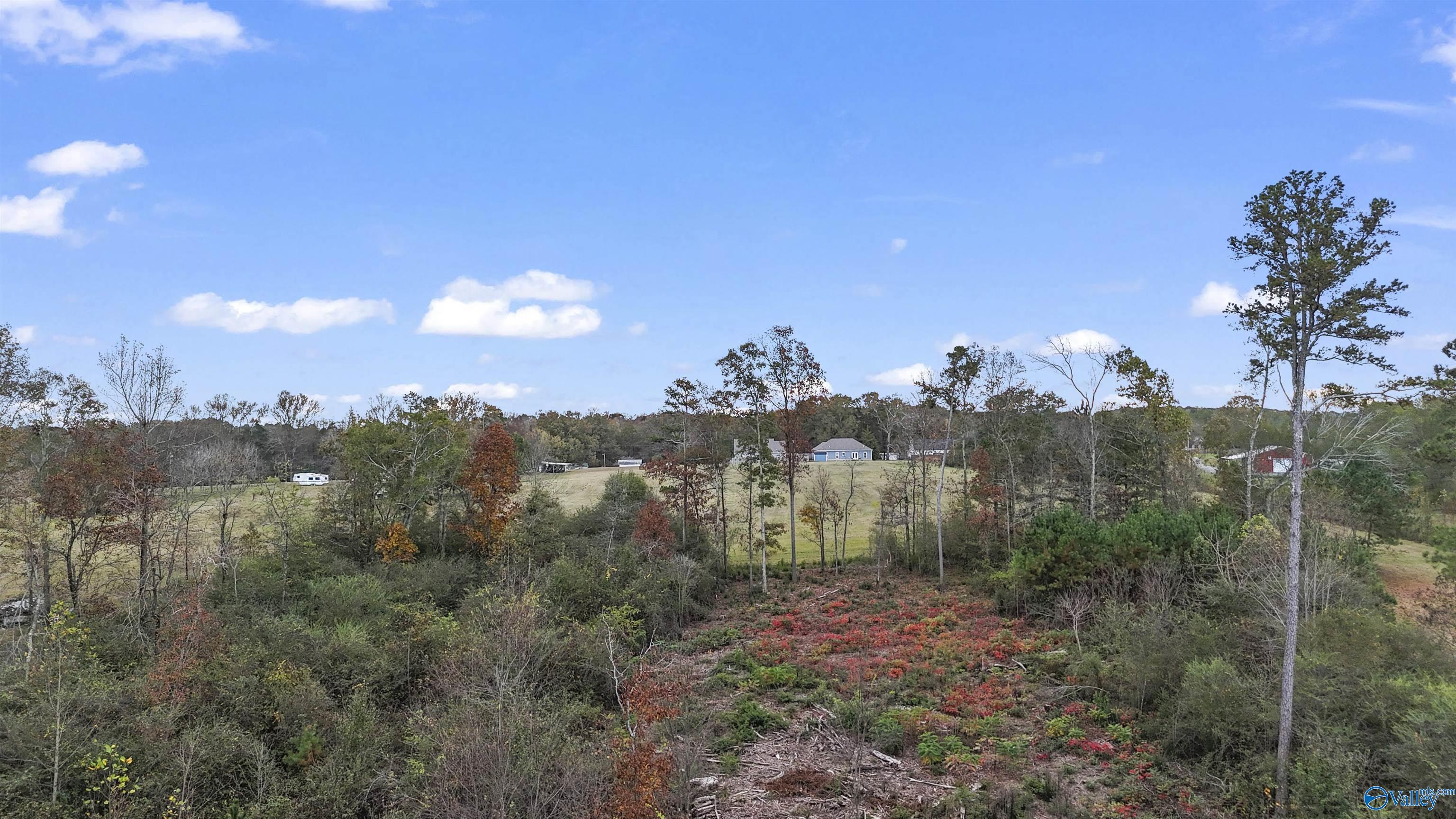 3.5 Acres Highland Drive, Arab, Alabama image 4