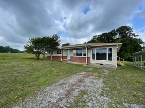 Photo of 2275 Eddy Scant City Road, Arab, AL 35016 (MLS # 21917068)