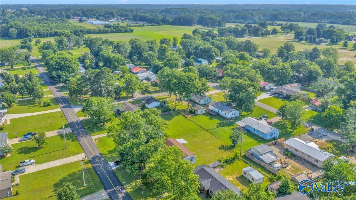 29330 Lakeview Drive, Ardmore, Alabama image 37