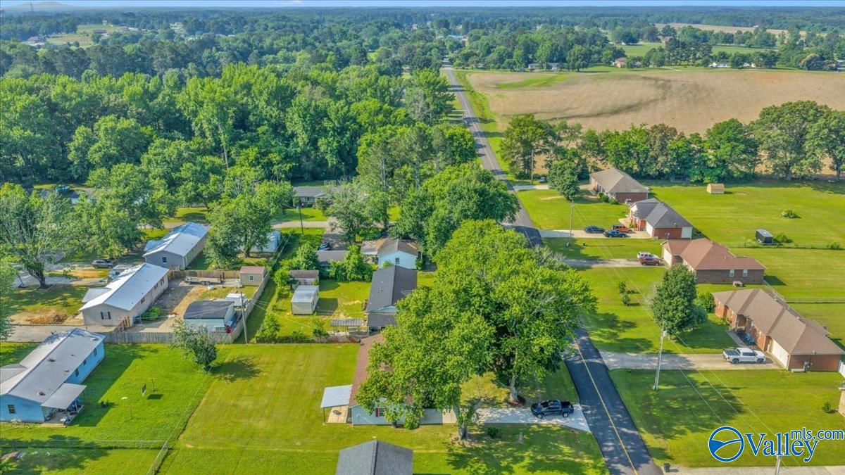 29330 Lakeview Drive, Ardmore, Alabama image 2