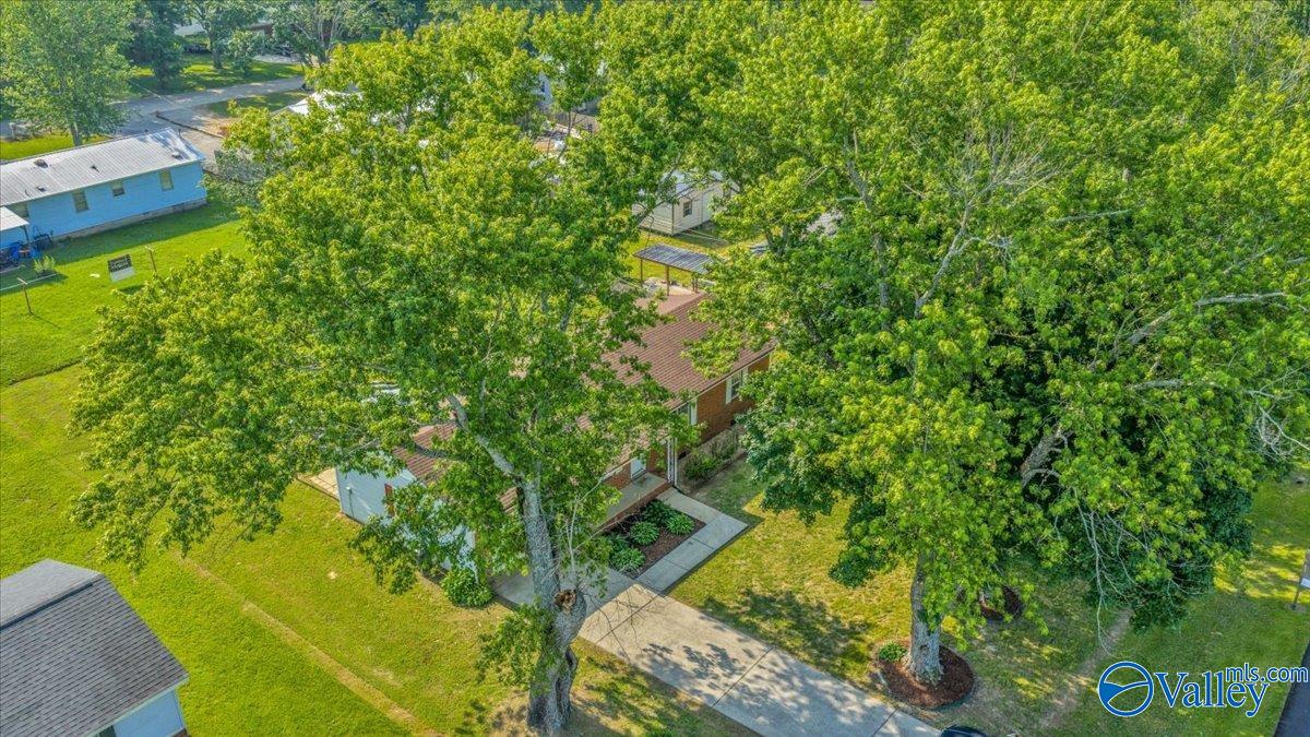 29330 Lakeview Drive, Ardmore, Alabama image 32