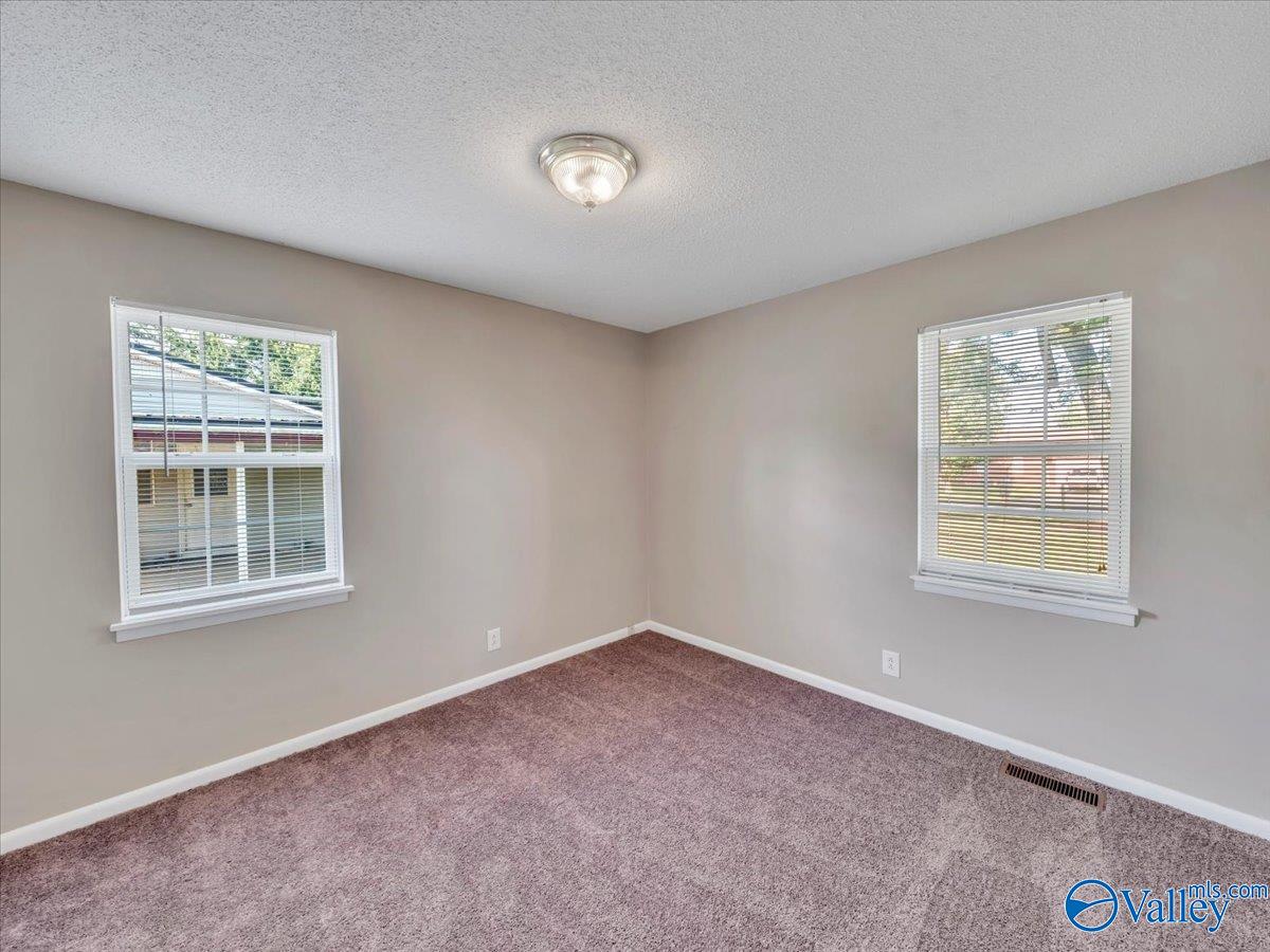 29330 Lakeview Drive, Ardmore, Alabama image 19