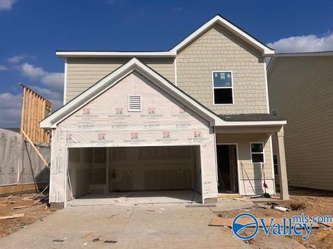 Homes For Sale - 1120 Tanger Glen Trail<br/> Harvest, AL 35749