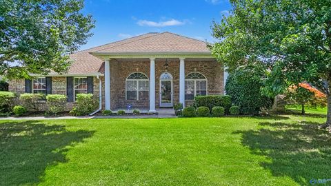 Homes For Sale - 133 Virginia Fern Circle<br/> Madison, AL 35757