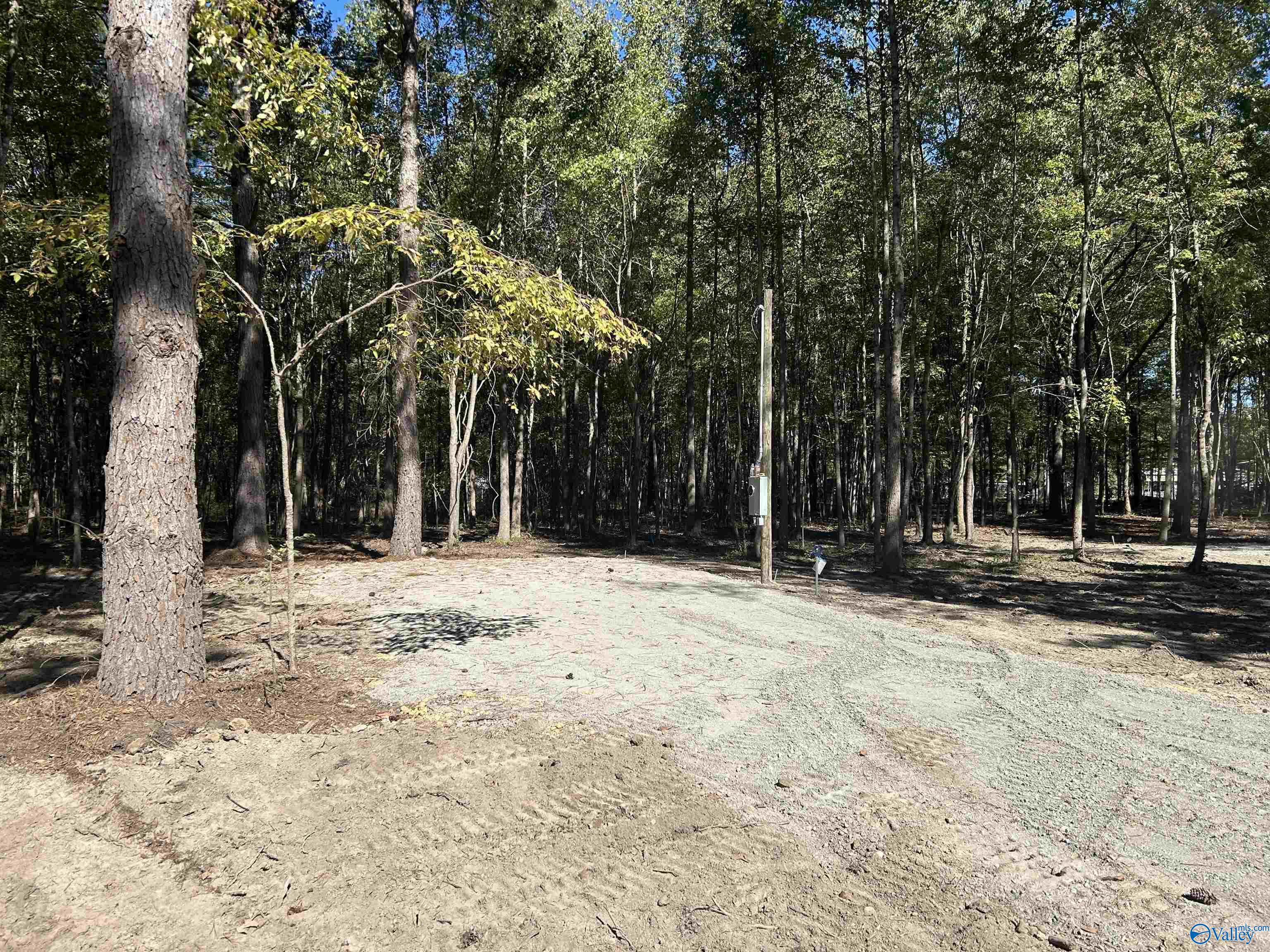 Lot 2 County Road 1011, Centre, Alabama image 6