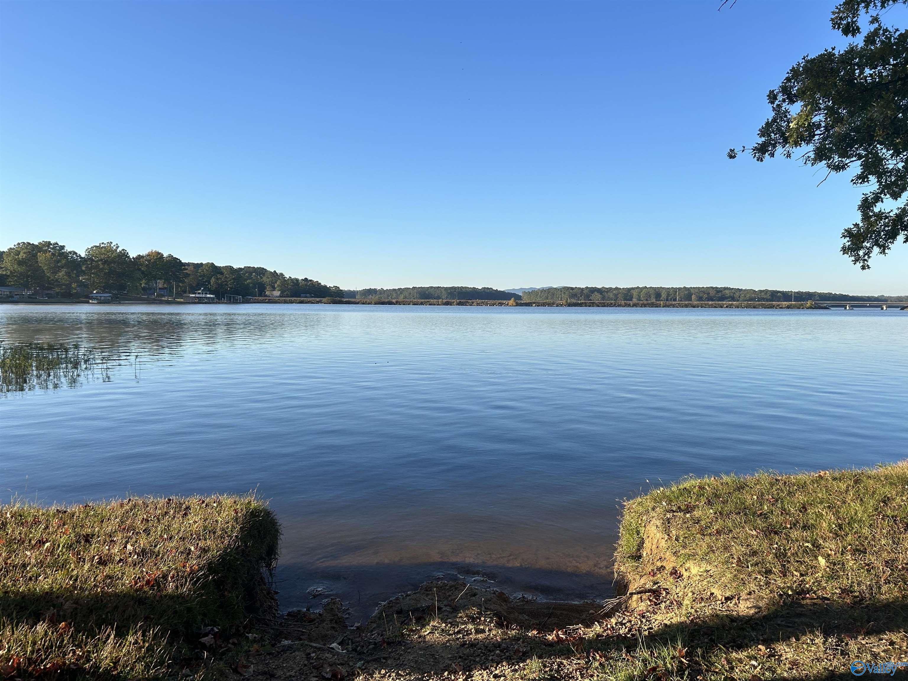 Lot 2 County Road 1011, Centre, Alabama image 8