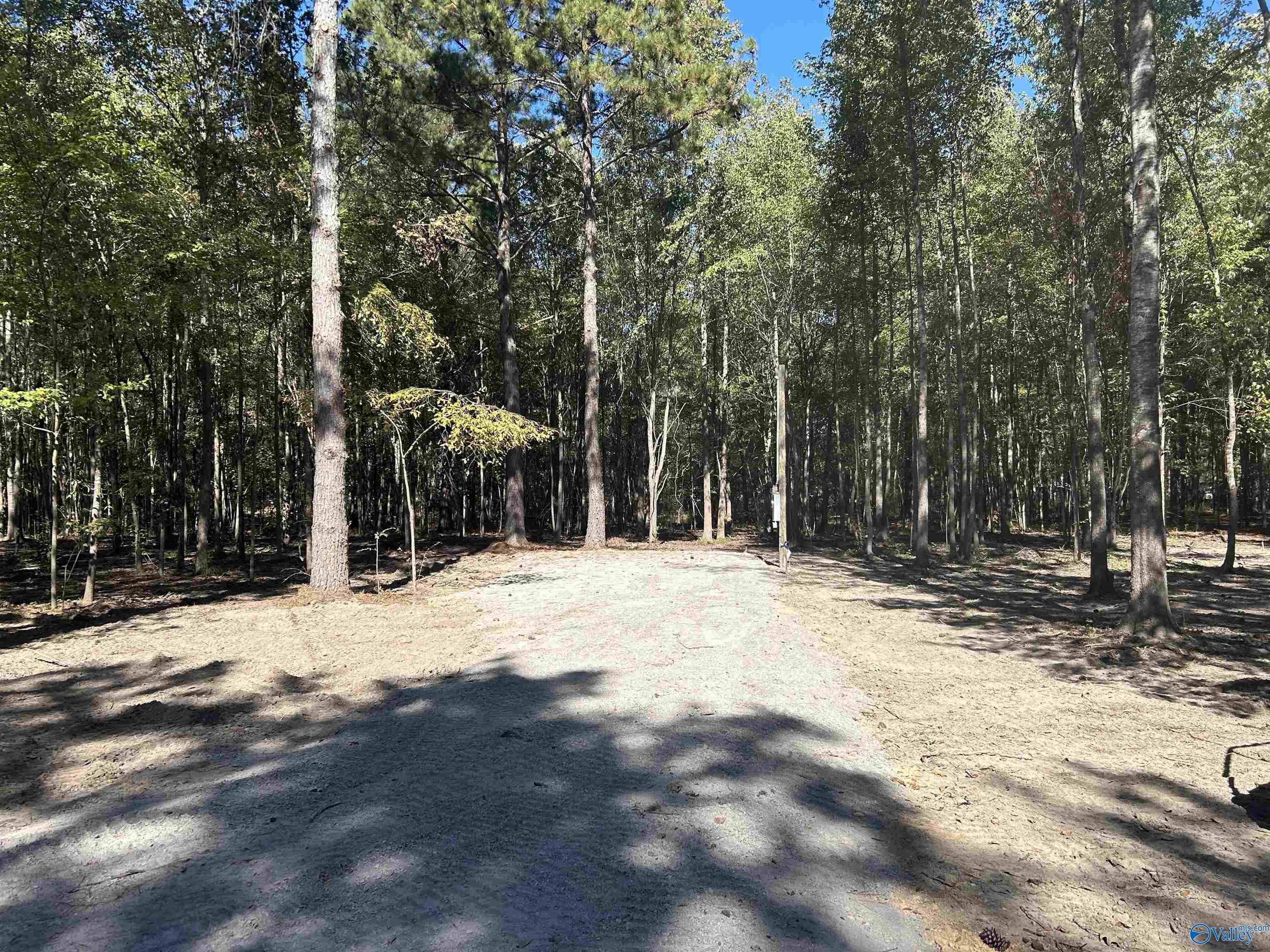 Lot 2 County Road 1011, Centre, Alabama image 7