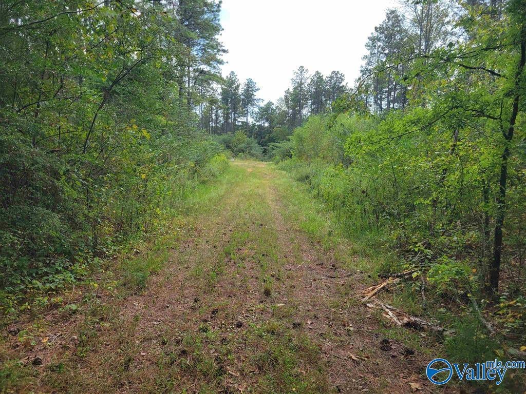 500 County Road 1079