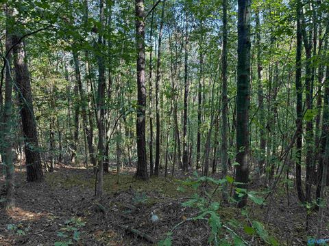 Vacant Land For Sale - 1028 Goddard Road<br/> Marion County, Bear Creek, AL 35543