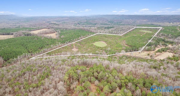 1 COUNTY ROAD 288, COLLINSVILLE, AL 35961 - Image 9b1f096b7cd45a83ac400a745394f501/3308536884