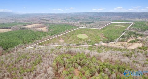Vacant Land For Sale - 1 County Road 288<br/> Collinsville, AL 35961
