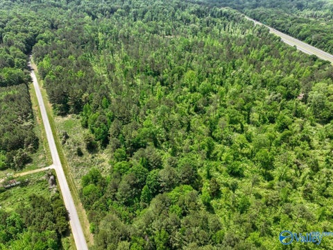 Vacant Land For Sale - LOT 9 Mill Creek Road<br/> Falkville, AL 35622