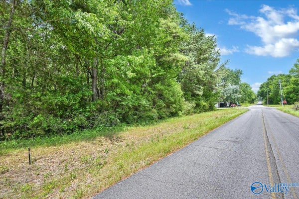 2 E LACON RD, FALKVILLE, AL 35622 - Image 9b7b952c4f960dca74fb331e4ebaea91/2195552764