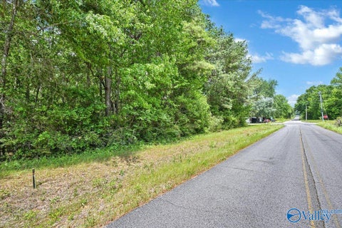 Vacant Land For Sale - LOT 2 East Lacon Road<br/> Falkville, AL 35622