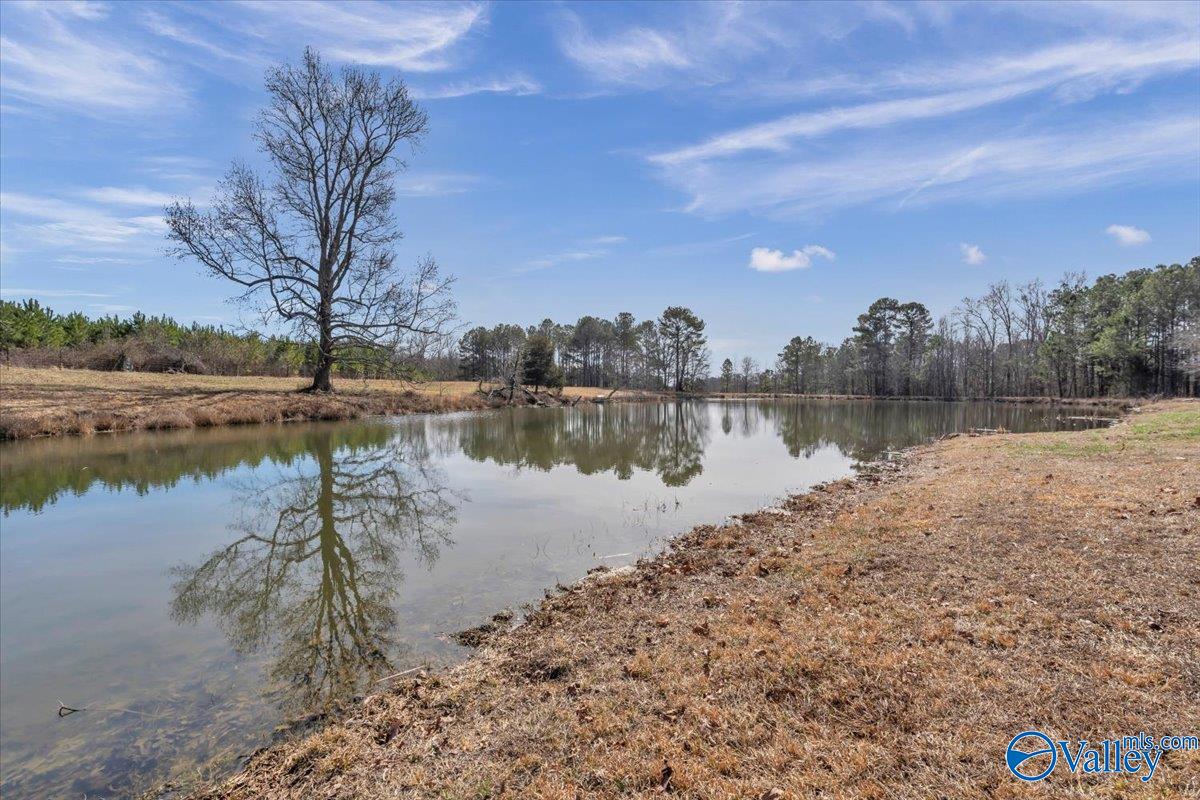 613 S County Road 66, Section, Alabama image 14